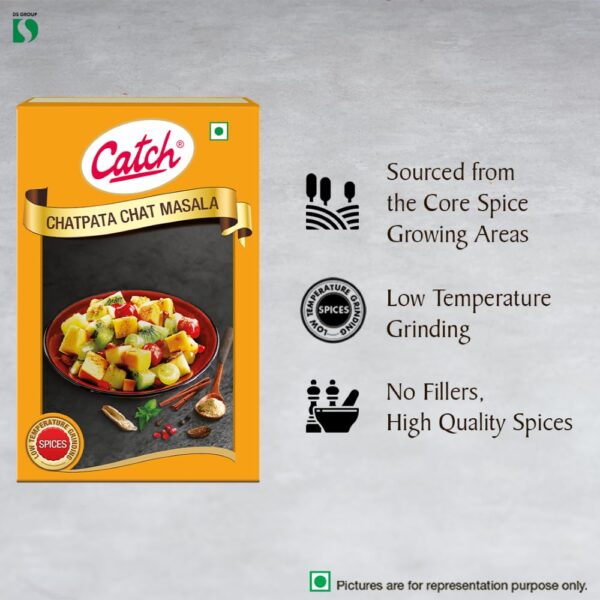 Catch Chat Pata Masala, 100g - Image 3