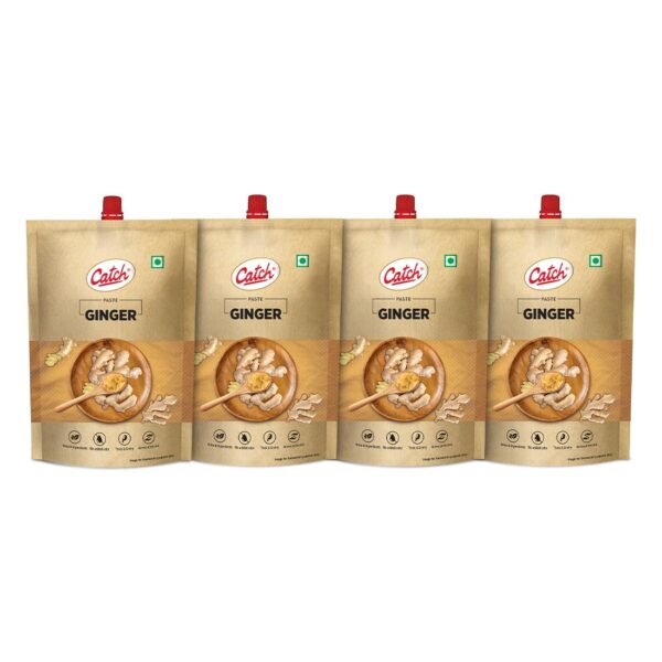 CATCH GINGER PASTE 100 GM - Pack of 4 (400 GMS)