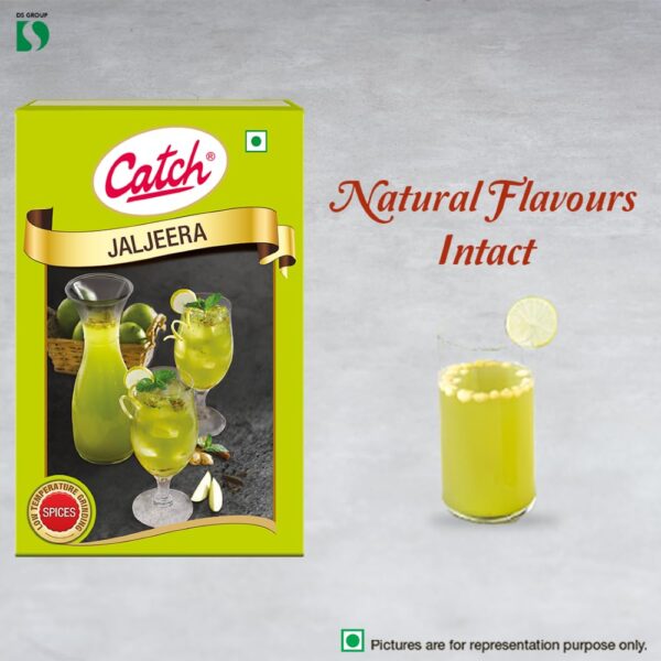 Catch Jal Jeera Masala, 100g - Image 3