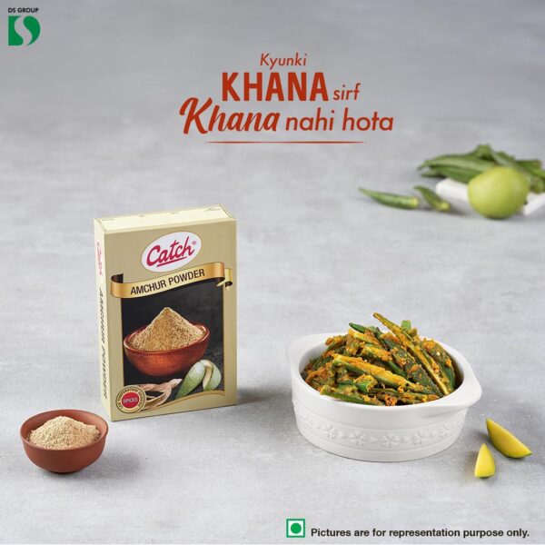 Catch Masala Amchur Vegetable Masala Powder, 100 Gram - Image 2