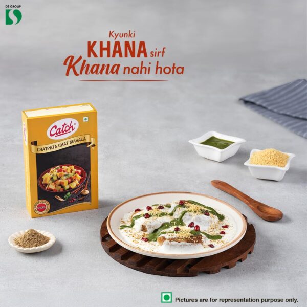 Catch Chat Pata Masala, 100g - Image 5