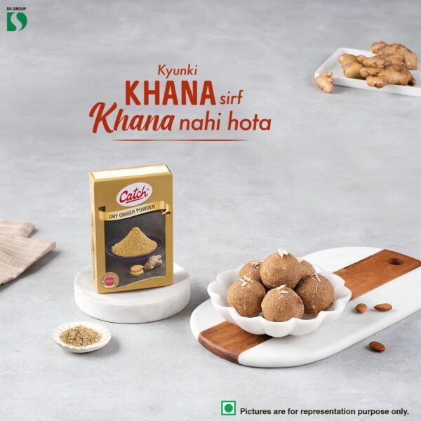 Catch Dry Ginger Powder, 90 Gram - Image 2