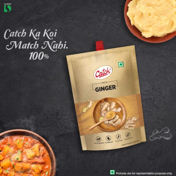 CATCH GINGER PASTE 100 GM - Pack of 4 (400 GMS) - Image 2