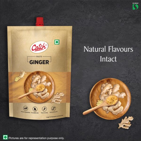 CATCH GINGER PASTE 100 GM - Pack of 4 (400 GMS) - Image 4