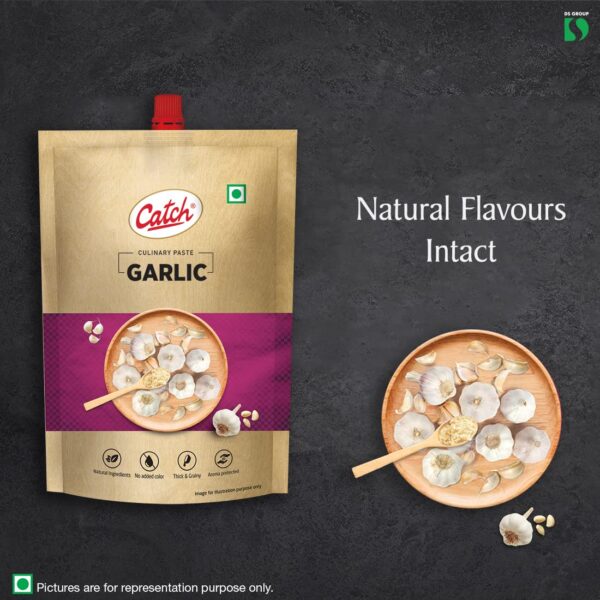 Catch Garlic Paste 100 GM - Pack of 4 (400 GMS) - Image 2