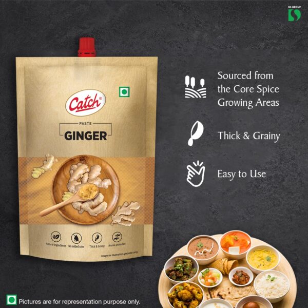 CATCH GINGER PASTE 100 GM - Pack of 4 (400 GMS) - Image 3